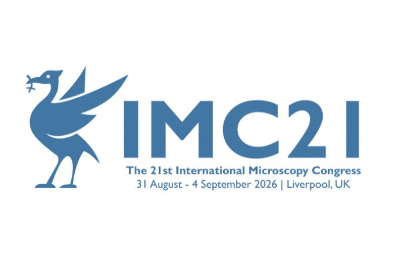 IMC21-System-Logo.png